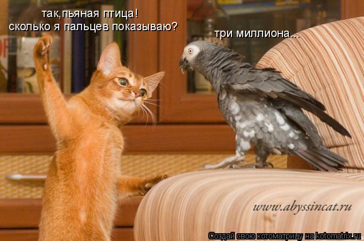 так,пьяная птица! сколько я пальцев показываю? три миллиона...... Котоматрица: так,пьяная птица! сколько я пальцев показываю? три миллиона...