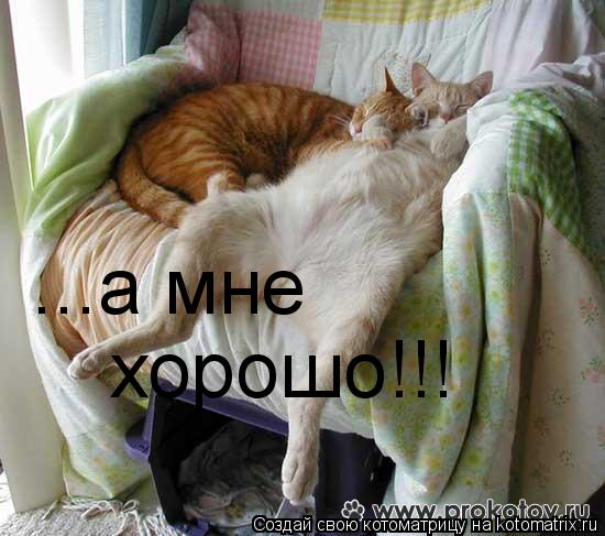 ...а мне хорошо!!!... Котоматрица: ...а мне хорошо!!!