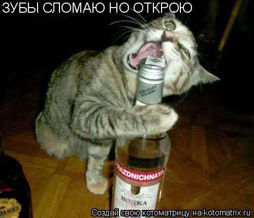 ЗУБЫ СЛОМАЮ НО ОТКРОЮ... Котоматрица: ЗУБЫ СЛОМАЮ НО ОТКРОЮ