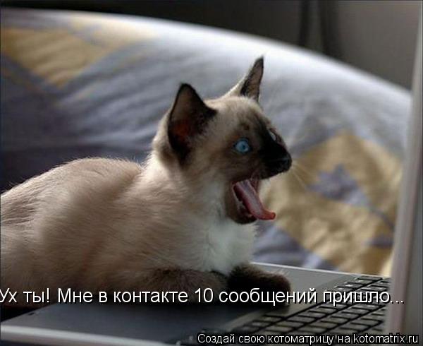 Ух ты! Мне в контакте 10 сообщений пришло...... Котоматрица: Ух ты! Мне в контакте 10 сообщений пришло...