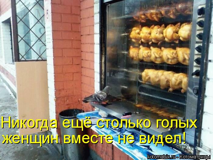 Котоматрица: Никогда ещё столько голых  женщин вместе не видел!