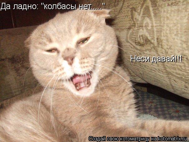 Да ладно: "колбасы нет....." Неси давай!!!... Котоматрица: Да ладно: "колбасы нет....." Неси давай!!!