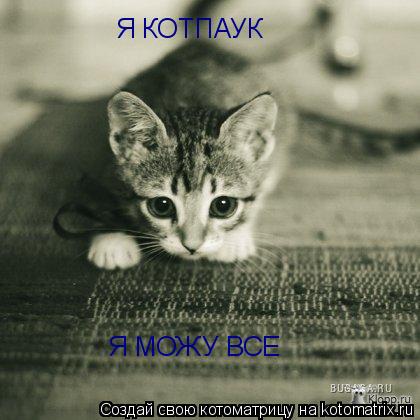Я КОТПАУК Я МОЖУ ВСЕ... Котоматрица: Я КОТПАУК Я МОЖУ ВСЕ