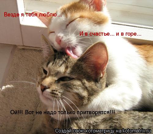 Везде я тебя люблю... И в счастье... и в горе... Ой!!! Вот не надо только притворятся!!!... Котоматрица: Везде я тебя люблю... И в счастье... и в горе... Ой!!! Вот не надо только притворятся!!!