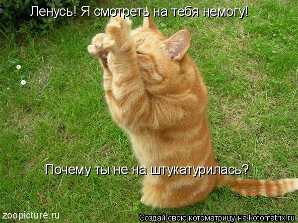 Ленусь! Я смотреть на тебя немогу! Почему ты не на штукатурилась?... Котоматрица: Ленусь! Я смотреть на тебя немогу! Почему ты не на штукатурилась?