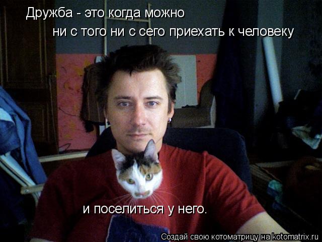 Дружба - это когда можно ни с того ни с сего приехать к человеку и поселиться у него.... Котоматрица: Дружба - это когда можно ни с того ни с сего приехать к человеку и поселиться у него.