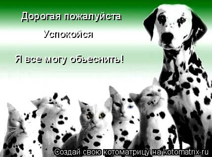 Дорогая пожалуйста Успокойся Я все могу обьеснить!... Котоматрица: Дорогая пожалуйста Успокойся Я все могу обьеснить!