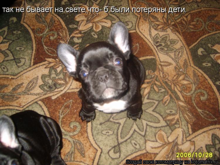 так не бывает на свете,что- б были потеряны дети.... Котоматрица: так не бывает на свете,что- б были потеряны дети.