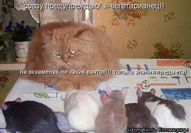 сразу предупреждаю! я-вегетарианец!! на экзаменах ни каких взяток!!! только знания предмета!... Котоматрица: сразу предупреждаю! я-вегетарианец!! на экзаменах ни каких взяток!!! только знания предмета!