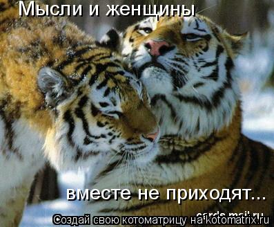 Мысли и женщины вместе не приходят...... Котоматрица: Мысли и женщины вместе не приходят...