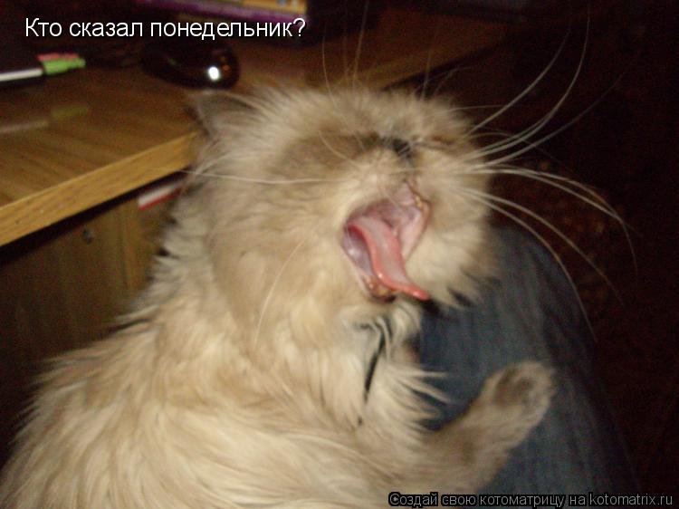 Кто сказал понедельник?... Котоматрица: Кто сказал понедельник?