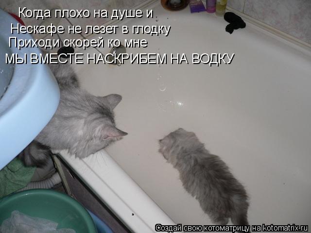 Когда плохо на душе и Нескафе не лезет в глодку Приходи скорей ко мне МЫ ВМЕСТЕ НАСКРИБЕМ НА ВОДКУ... Котоматрица: Когда плохо на душе и Нескафе не лезет в глодку Приходи скорей ко мне МЫ ВМЕСТЕ НАСКРИБЕМ НА ВОДКУ