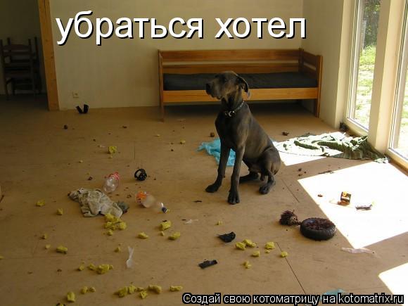 убраться хотел... Котоматрица: убраться хотел