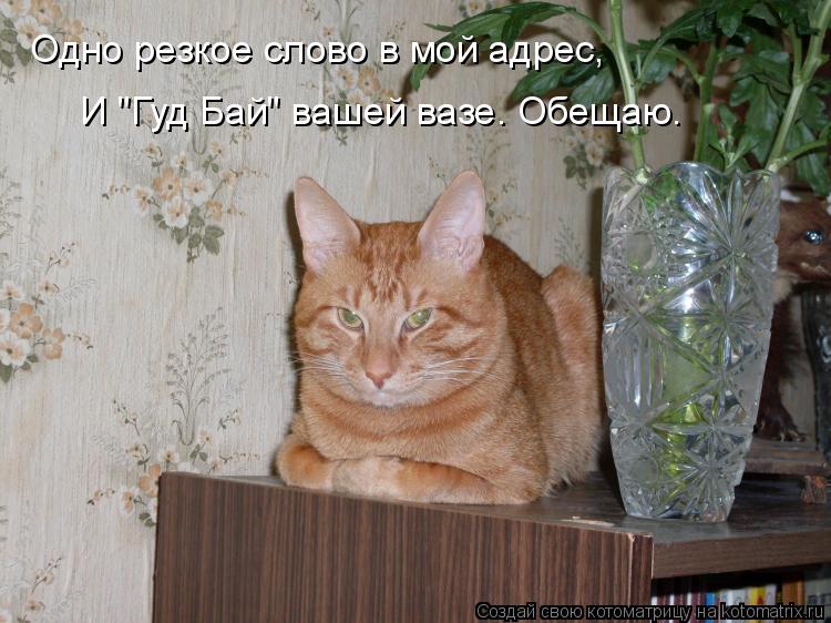 Одно резкое слово в мой адрес, И "Гуд Бай" вашей вазе. Обещаю.... Котоматрица: Одно резкое слово в мой адрес, И "Гуд Бай" вашей вазе. Обещаю.