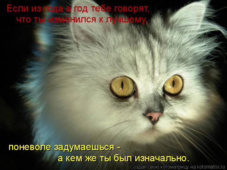 Если из года в год тебе говорят, что ты изменился к лучшему, поневоле задумаешься - а кем же ты был и... Котоматрица: Если из года в год тебе говорят, что ты изменился к лучшему, поневоле задумаешься - а кем же ты был изначально.