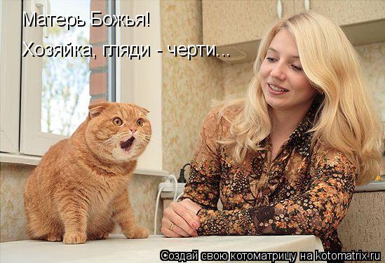 Матерь Божья! Хозяйка, гляди - черти...... Котоматрица: Матерь Божья! Хозяйка, гляди - черти...