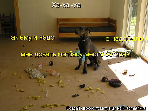 Ха-ха -ха так ему и надо не надобыло мне довать колвасу место ветчины мне довать колбасу место ветч... Котоматрица: Ха-ха -ха так ему и надо не надобыло мне довать колвасу место ветчины мне довать колбасу место ветчены