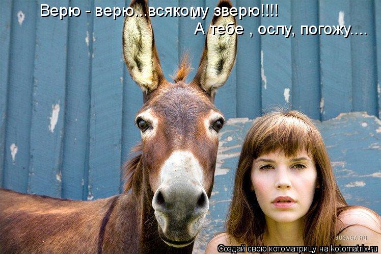 Верю - верю...всякому зверю!!!! А тебе , ослу, погожу....... Котоматрица: Верю - верю...всякому зверю!!!! А тебе , ослу, погожу....