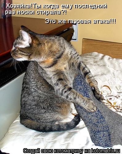 Хозяйка!Ты когда ему последний раз носки стирала?! Это же газовая атака!!!... Котоматрица: Хозяйка!Ты когда ему последний раз носки стирала?! Это же газовая атака!!!