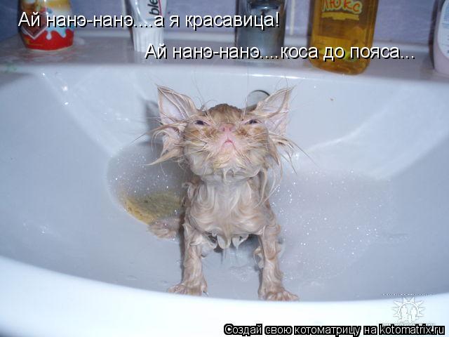 Ай нанэ-нанэ....а я красавица! Ай нанэ-нанэ....коса до пояса...... Котоматрица: Ай нанэ-нанэ....а я красавица! Ай нанэ-нанэ....коса до пояса...