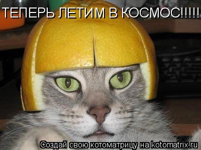 ТЕПЕРЬ ЛЕТИМ В КОСМОС!!!!!!!!1... Котоматрица: ТЕПЕРЬ ЛЕТИМ В КОСМОС!!!!!!!!1