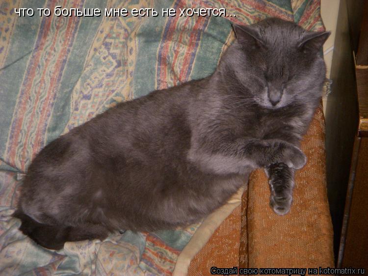 что то больше мне есть не хочется...... Котоматрица: что то больше мне есть не хочется...