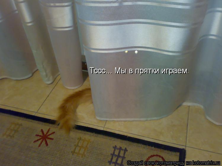 Тссс... Мы в прятки играем.... Котоматрица: Тссс... Мы в прятки играем.