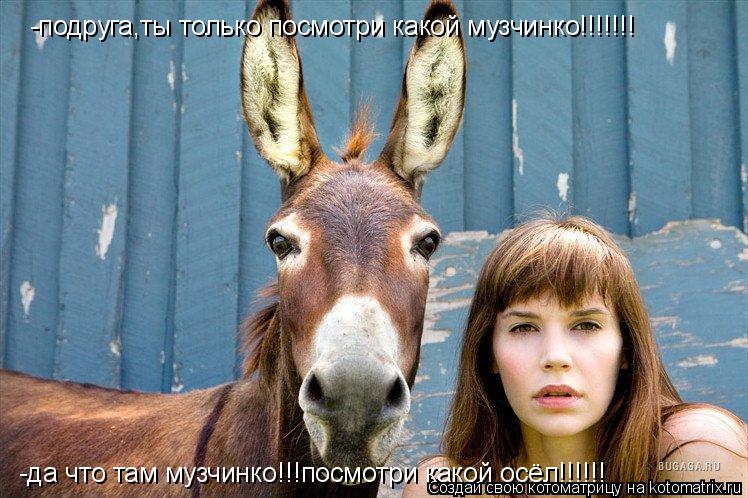 -подруга,ты только посмотри какой музчинко!!!!!!! -да что там музчинко!!!посмотри какой осёл!!!!!!... Котоматрица: -подруга,ты только посмотри какой музчинко!!!!!!! -да что там музчинко!!!посмотри какой осёл!!!!!!