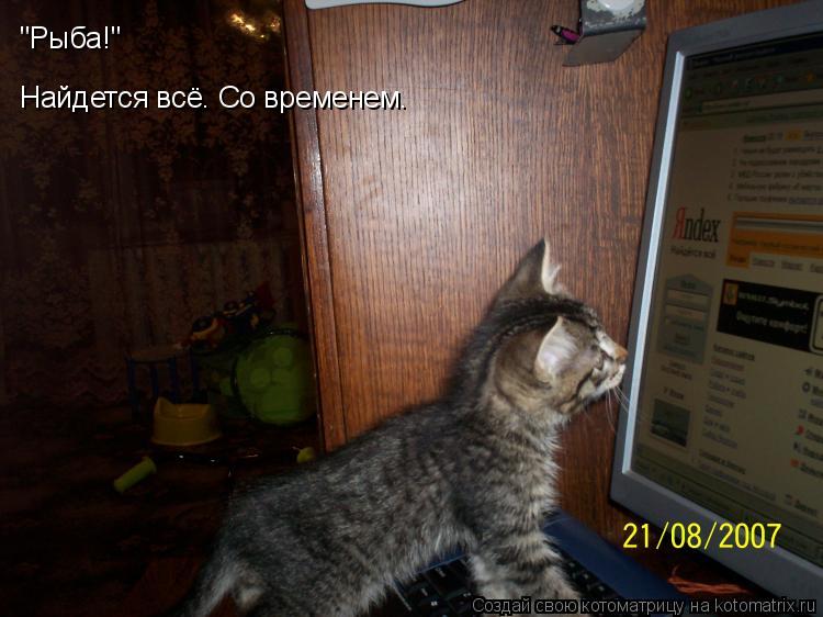 "Рыба!" Найдется всё. Со временем.... Котоматрица: "Рыба!" Найдется всё. Со временем.