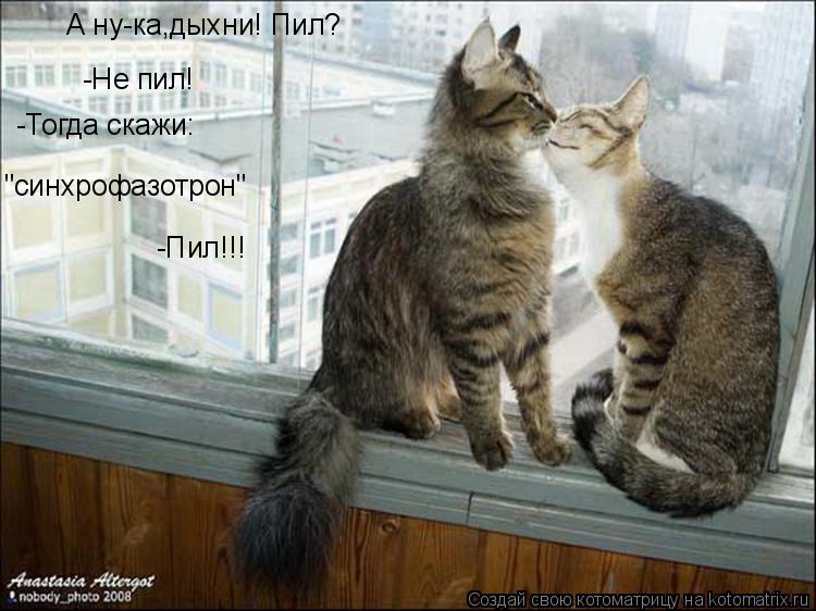 А ну-ка,дыхни! Пил? -Не пил! -Тогда скажи: "синхрофазотрон" -Пил!!!... Котоматрица: А ну-ка,дыхни! Пил? -Не пил! -Тогда скажи: "синхрофазотрон" -Пил!!!