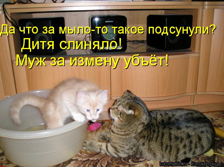Да что за мыло-то такое подсунули? Дитя слиняло! Муж за измену убъёт!... Котоматрица: Да что за мыло-то такое подсунули? Дитя слиняло! Муж за измену убъёт!
