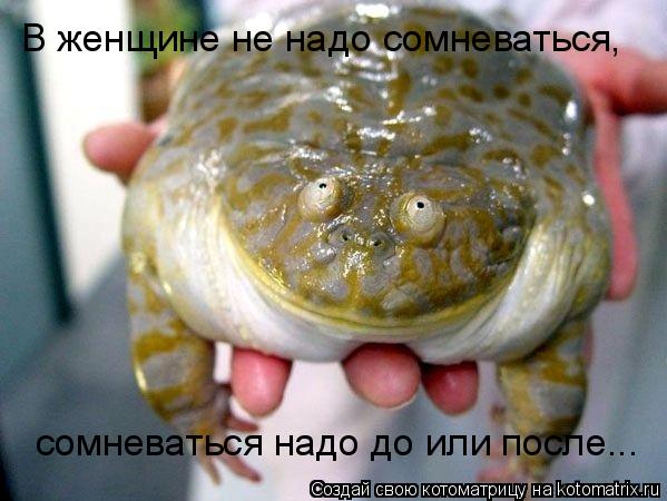 В женщине не надо сомневаться, сомневаться надо до или после...... Котоматрица: В женщине не надо сомневаться, сомневаться надо до или после...