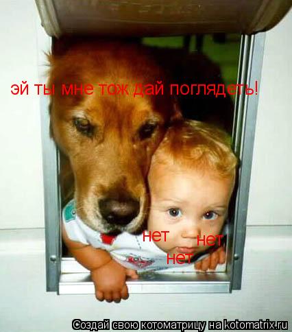 эй ты мне тож дай поглядеть! нет нет нет... Котоматрица: эй ты мне тож дай поглядеть! нет нет нет
