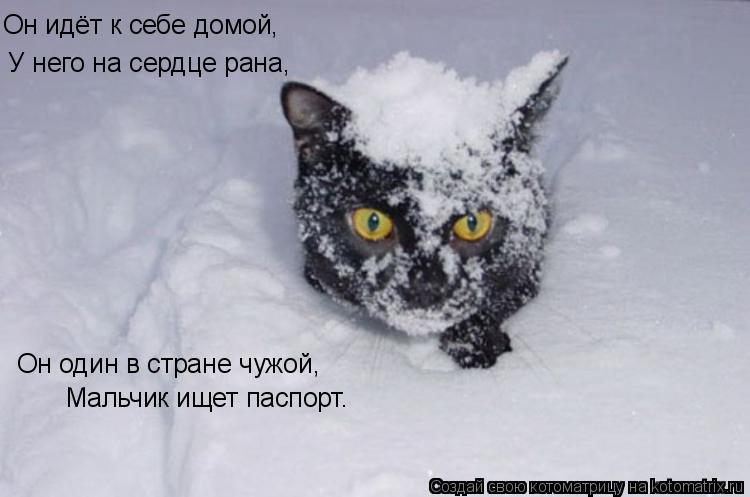 Он идёт к себе домой, У него на сердце рана, Он один в стране чужой, Мальчик ищет паспорт.... Котоматрица: Он идёт к себе домой, У него на сердце рана, Он один в стране чужой, Мальчик ищет паспорт.