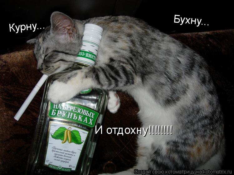 Курну... Бухну... И отдохну!!!!!!!!... Котоматрица: Курну... Бухну... И отдохну!!!!!!!!
