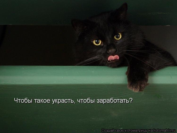 Чтобы такое украсть, чтобы заработать?... Котоматрица: Чтобы такое украсть, чтобы заработать?