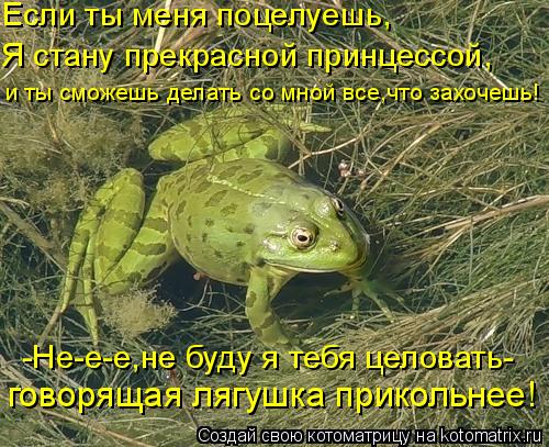 Если ты меня поцелуешь, Я стану прекрасной принцессой, -Не-е-е,не буду я тебя целовать- и ты сможешь ... Котоматрица: Если ты меня поцелуешь, Я стану прекрасной принцессой, -Не-е-е,не буду я тебя целовать- и ты сможешь делать со мной все,что захочешь! говоряща