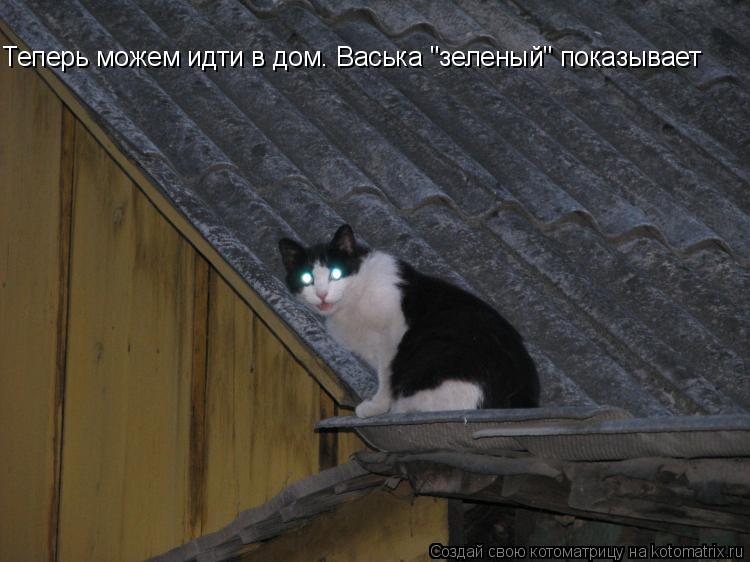 Теперь можем идти в дом. Васька "зеленый" показывает... Котоматрица: Теперь можем идти в дом. Васька "зеленый" показывает
