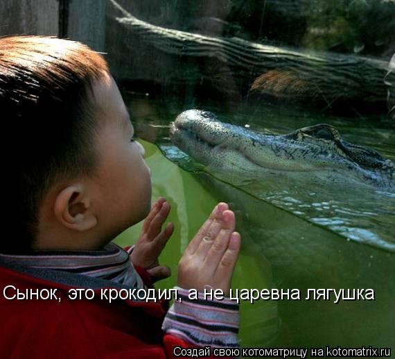 Сынок, это крокодил, а не царевна лягушка... Котоматрица: Сынок, это крокодил, а не царевна лягушка