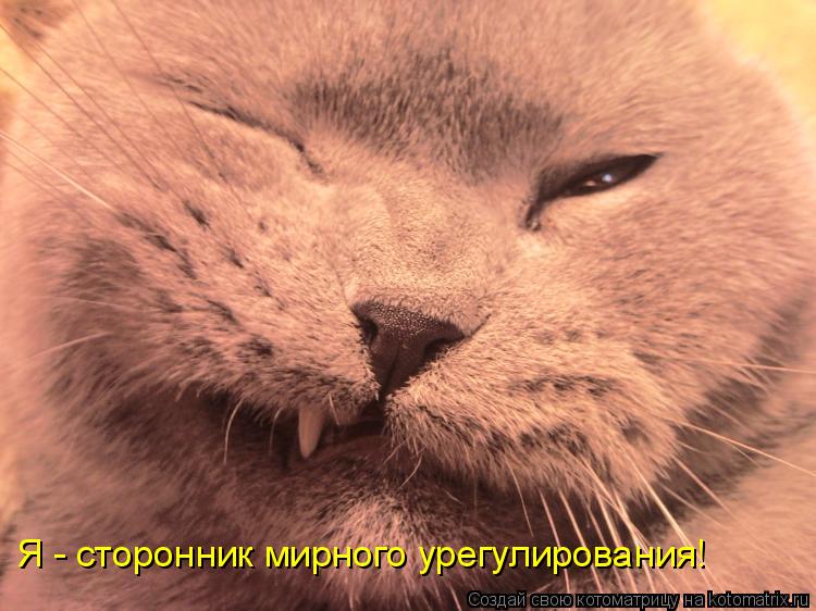 Я - сторонник мирного урегулирования!... Котоматрица: Я - сторонник мирного урегулирования!