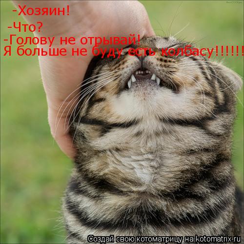 -Хозяин! -Что? -Голову не отрывай! Я больше не буду есть колбасу!!!!!!!... Котоматрица: -Хозяин! -Что? -Голову не отрывай! Я больше не буду есть колбасу!!!!!!!