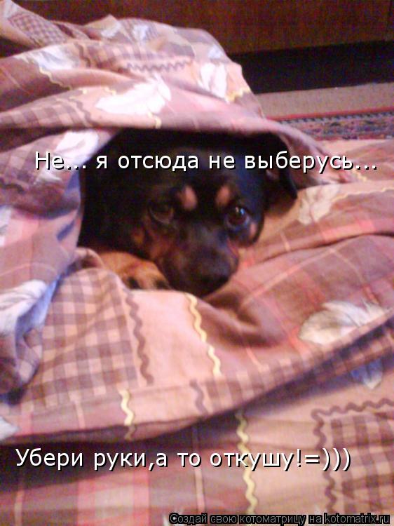 Не... я отсюда не выберусь... Убери руки,а то откушу!=)))... Котоматрица: Не... я отсюда не выберусь... Убери руки,а то откушу!=)))