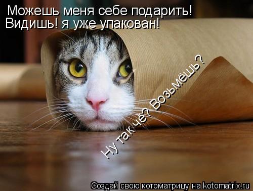 Можешь меня себе подарить! Видишь! я уже упакован! Ну так чё? Возьмёшь?... Котоматрица: Можешь меня себе подарить! Видишь! я уже упакован! Ну так чё? Возьмёшь?