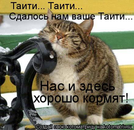 Таити... Таити... Сдалось нам ваше Таити... Нас и здесь хорошо кормят!... Котоматрица: Таити... Таити... Сдалось нам ваше Таити... Нас и здесь хорошо кормят!