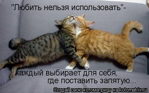 "Любить нельзя использовать"- каждый выбирает для себя, где поставить запятую...... Котоматрица: "Любить нельзя использовать"- каждый выбирает для себя, где поставить запятую...