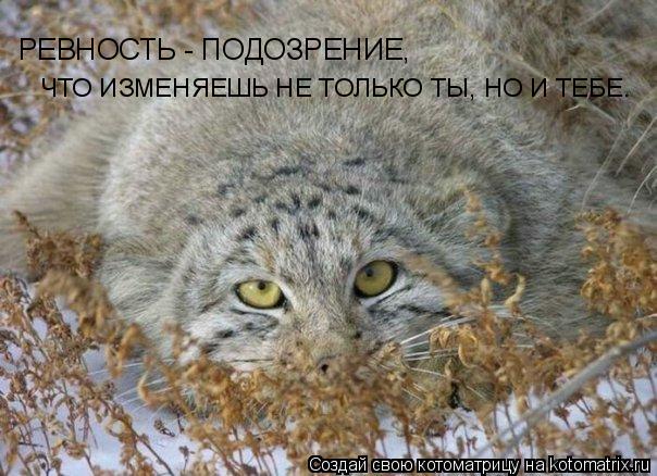РЕВНОСТЬ - ПОДОЗРЕНИЕ, ЧТО ИЗМЕНЯЕШЬ НЕ ТОЛЬКО ТЫ, НО И ТЕБЕ.... Котоматрица: РЕВНОСТЬ - ПОДОЗРЕНИЕ, ЧТО ИЗМЕНЯЕШЬ НЕ ТОЛЬКО ТЫ, НО И ТЕБЕ.