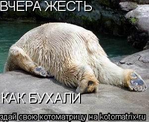 ВЧЕРА ЖЕСТЬ КАК БУХАЛИ... Котоматрица: ВЧЕРА ЖЕСТЬ КАК БУХАЛИ
