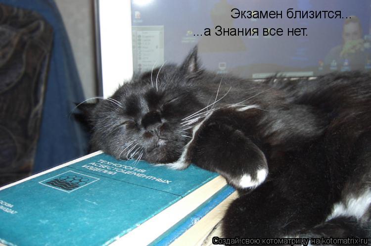 Экзамен близится... ...а Знания все нет.... Котоматрица: Экзамен близится... ...а Знания все нет.