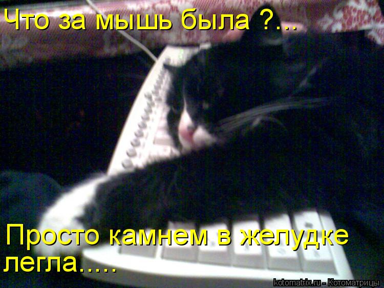 Что за мышь была ?... Просто камнем в желудке легла........ Котоматрица: Что за мышь была ?... Просто камнем в желудке легла.....
