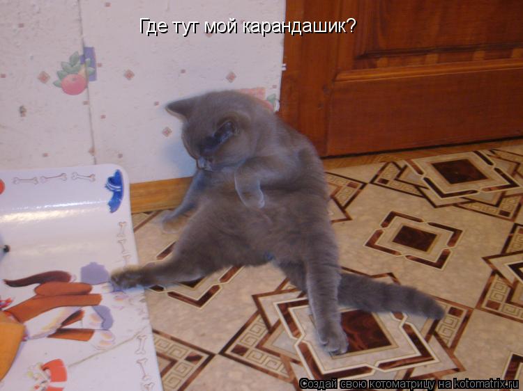 Где тут мой карандашик?... Котоматрица: Где тут мой карандашик?